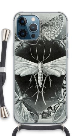 Haeckel Tineida