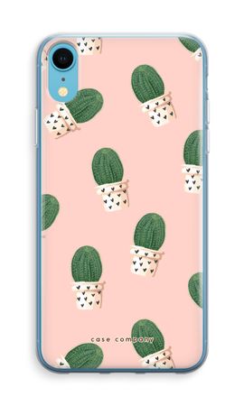 Cactus rose