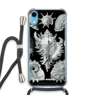 Haeckel Prosobranchia