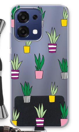 Sanseveria