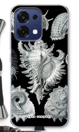 Haeckel Prosobranchia