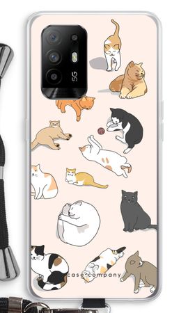 Cats