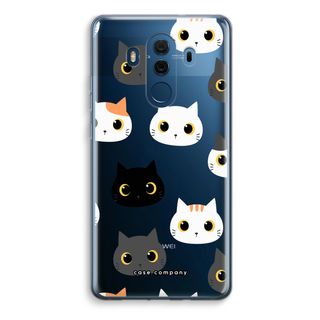 Katzen