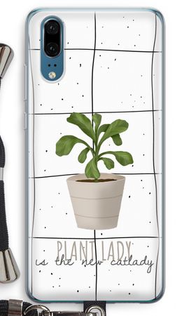 Houseplant on windowpane