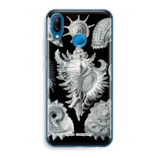 Haeckel Prosobranchia