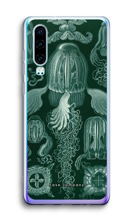 Haeckel Cubomedusae