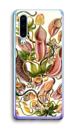 Haeckel Nepenthaceae