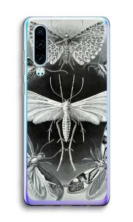 Haeckel Tineida