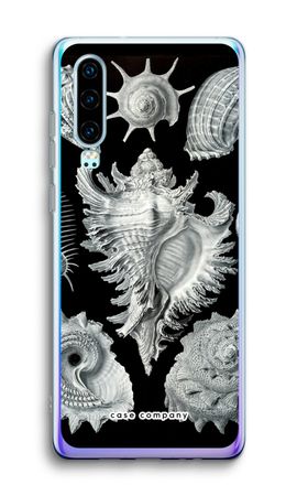 Haeckel Prosobranchia