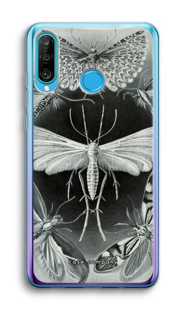Haeckel Tineida