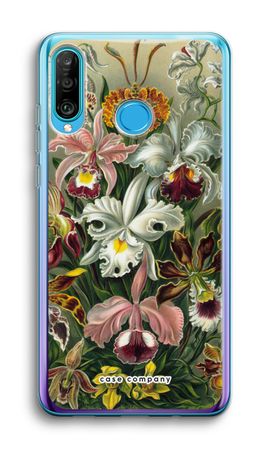 Haeckel Orchidae