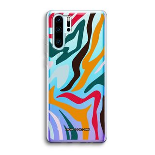 Colored Zebra