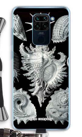 Haeckel Prosobranchia