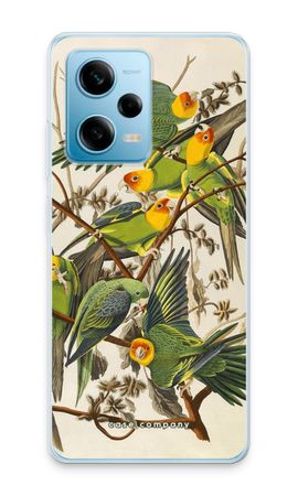 Carolina Parrot