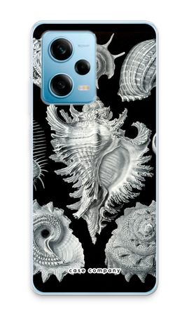 Haeckel Prosobranchia