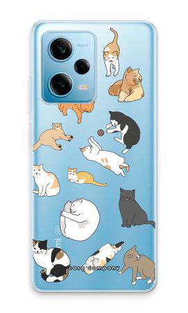 Cats