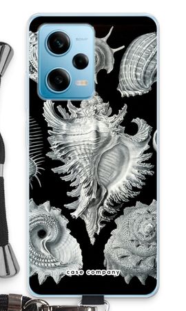 Haeckel Prosobranchia