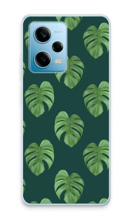 Monstera leaves