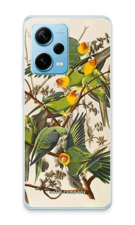 Carolina Parrot