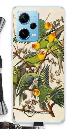 Carolina Parrot