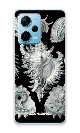 Haeckel Prosobranchia