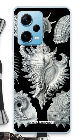 Haeckel Prosobranchia