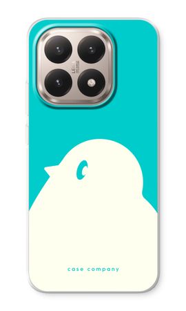 BIG Robin 2