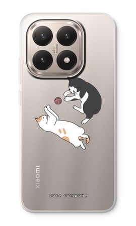 Playing cats
