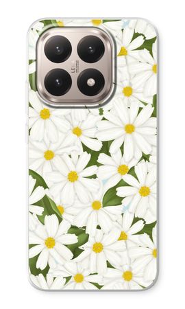 Summer Daisies