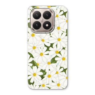 Summer Daisies