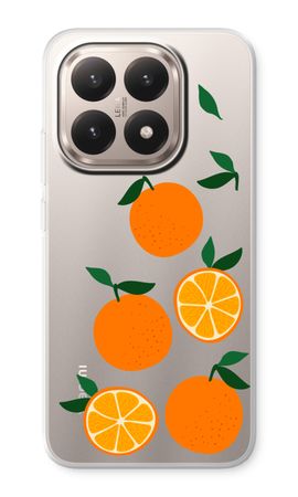 Will you be my clementine