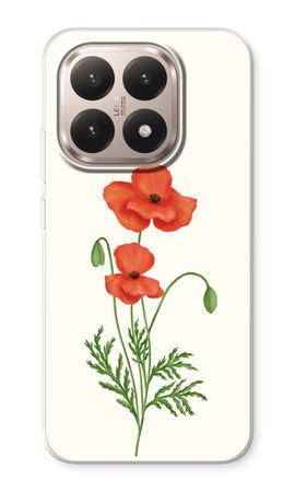 Red poppy