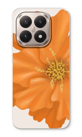 Orange Ellila flower