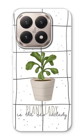Houseplant on windowpane