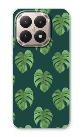 Monstera leaves