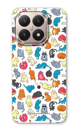 Colourful cats