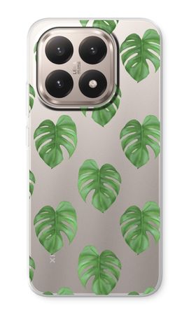 Monstera leaves