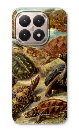 Haeckel Chelonia