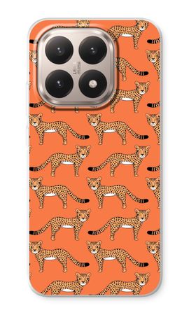 Cheetah