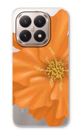 Orange Ellila flower