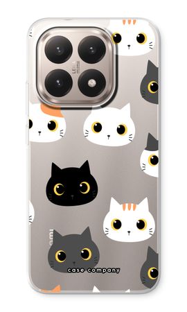Cats