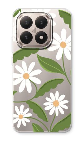 Daisies All Over