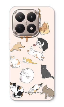 Cats