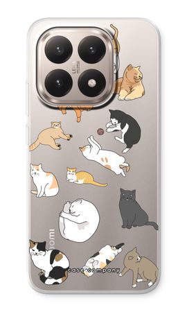 Cats