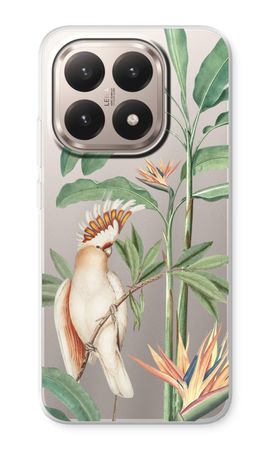 Tropical Parrot