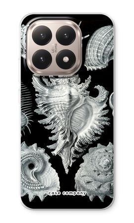 Haeckel Prosobranchia