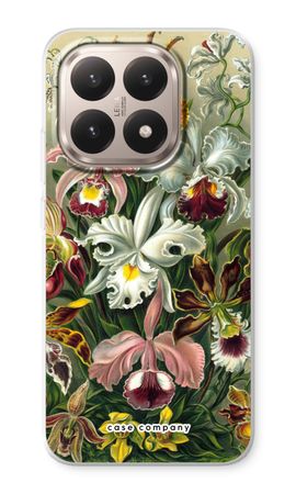 Haeckel Orchidae