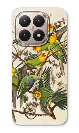 Carolina Parrot
