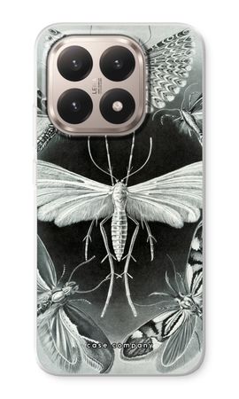 Haeckel Tineida