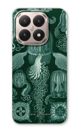 Haeckel Cubomedusae